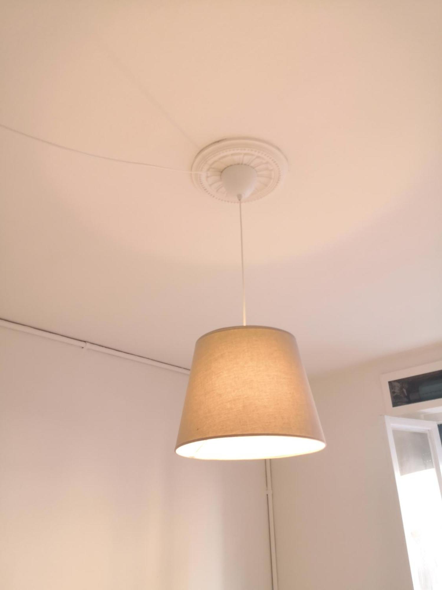 Green Home Пиза Екстериор снимка